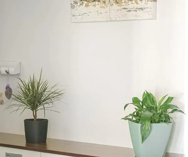 Divna Vodice-srima * 스리마